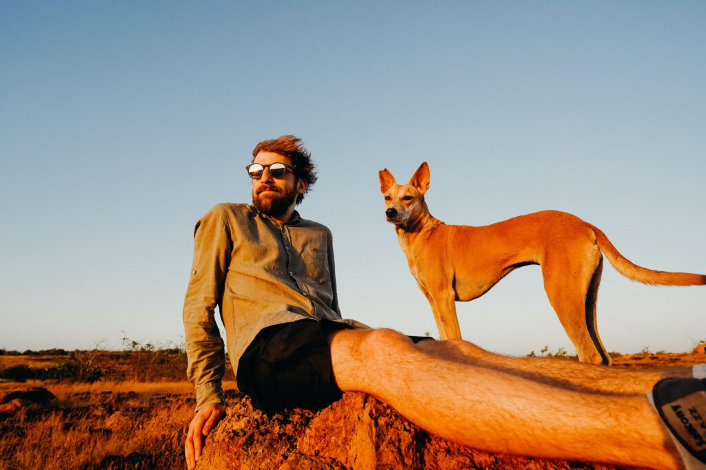 Basenji dog