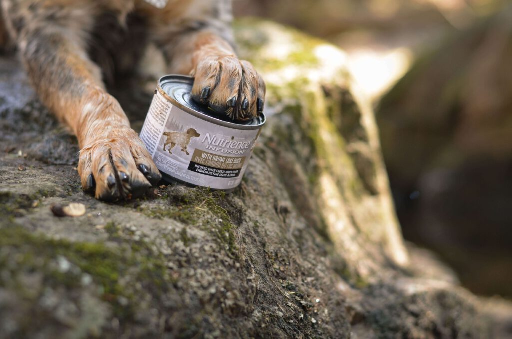 dog holding pâté food