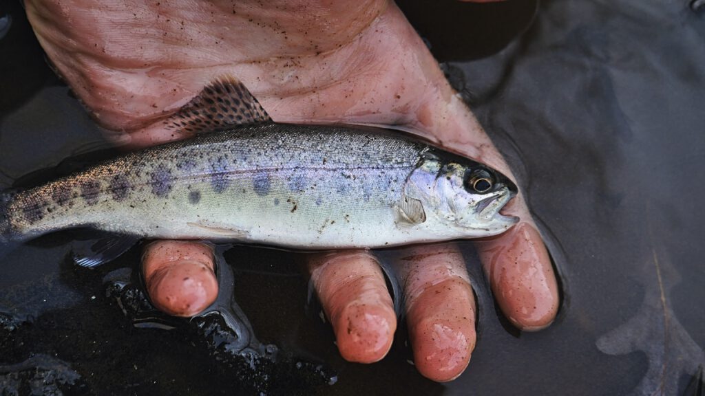 man holding fish