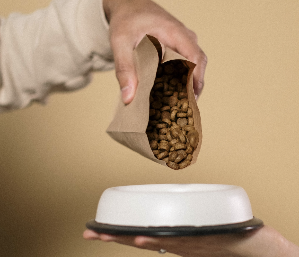 Kirkland Dog Food vs Blue Buffalo 2023 Review Bark Wonder