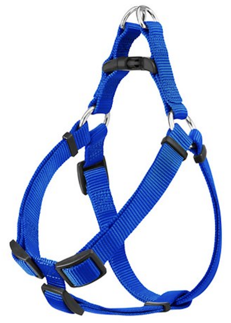 The Best Dog Harnesses for Poodles in 2023 Bark Wonder