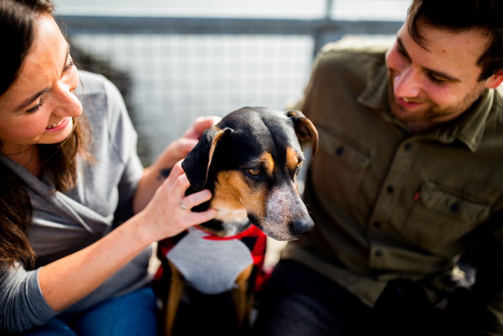 dog with family